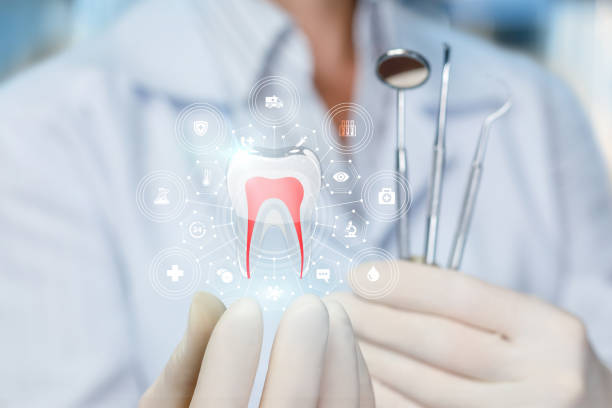 Best Wisdom Tooth Removal  in New Port Richey East, FL