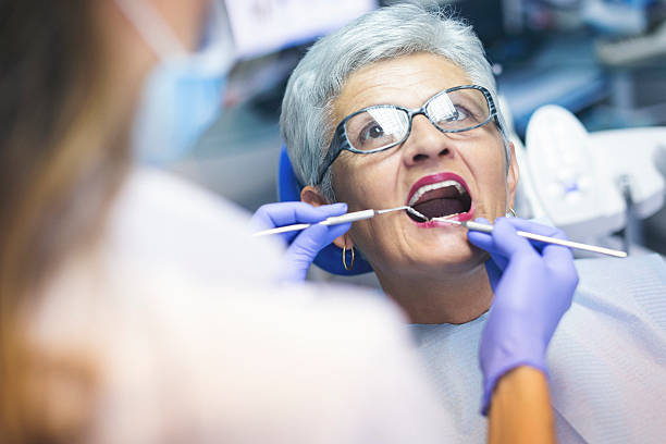Best Laser Dentistry  in New Port Richey East, FL
